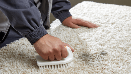 Professional Rug Cleaning Maryknoll